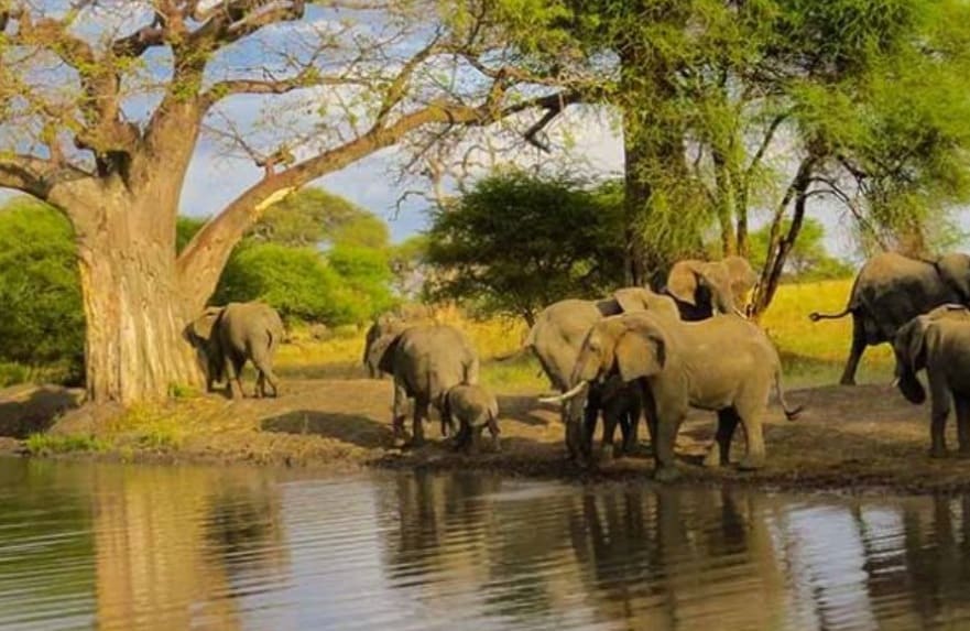Tarangire National Park