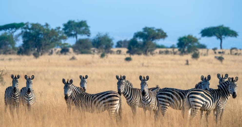 Tarangire National Park